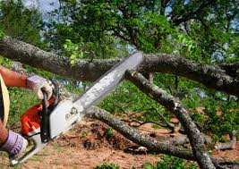 Best Soil Testing and Treatment  in Lackland Af, TX